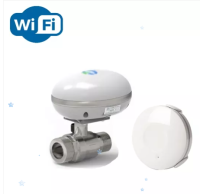 Беспроводная Wi-Fi система защиты от протечки воды ArmaControl -5 (с одним шаровым краном)